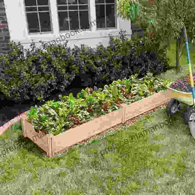 A Long, Rectangular Raised Garden Bed With A Wooden Frame And Filled With Soil. Ultimate Guide: Decks 5th Edition: 30 Projects To Plan Design And Build