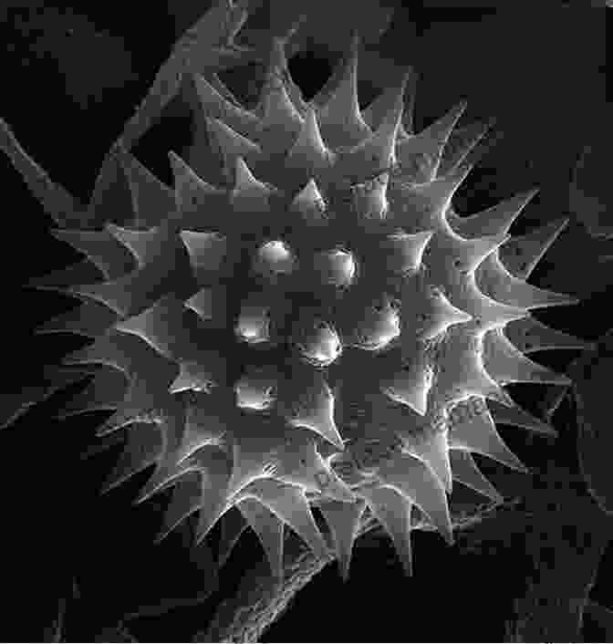 A Microscopic Image Of A Pollen Grain Plants : Reproduction In Plants (Science)