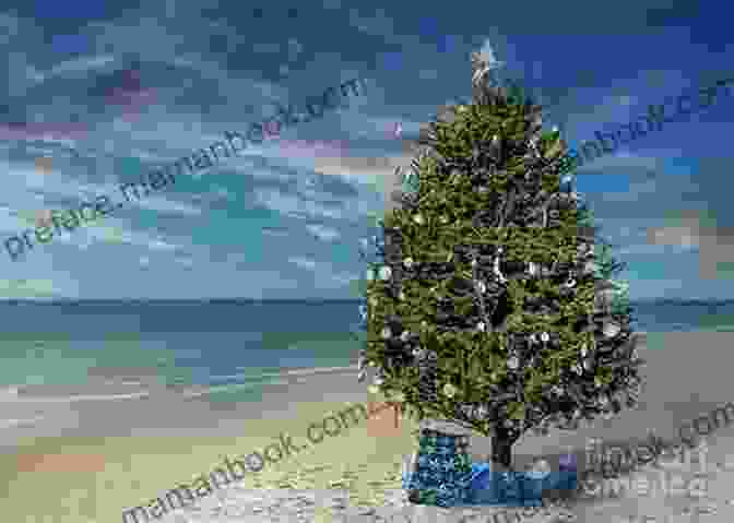 A Photo Of A Christmas Tree On A Beach In Key Largo Christmas Wishes (Key Largo Christmas 2)