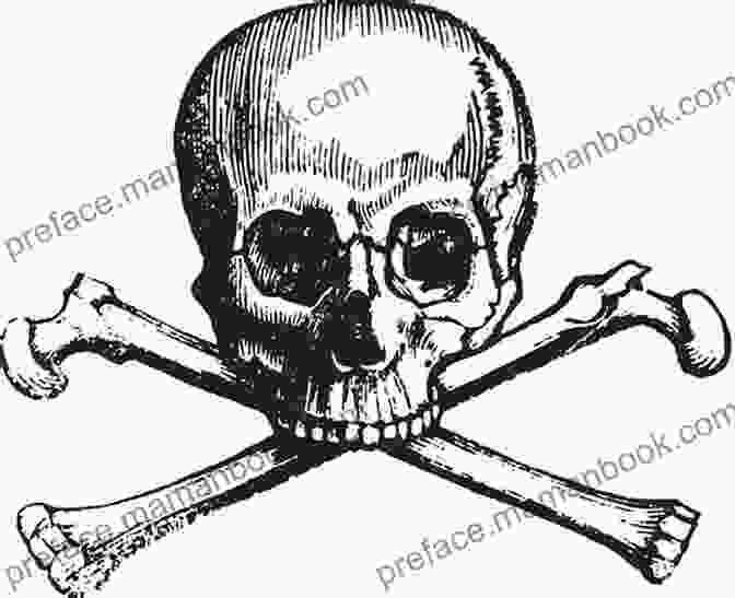 A Skull And Crossbones, Symbolizing The Absurdity Of Death. Death Life And Other Wonderments/Absurdities