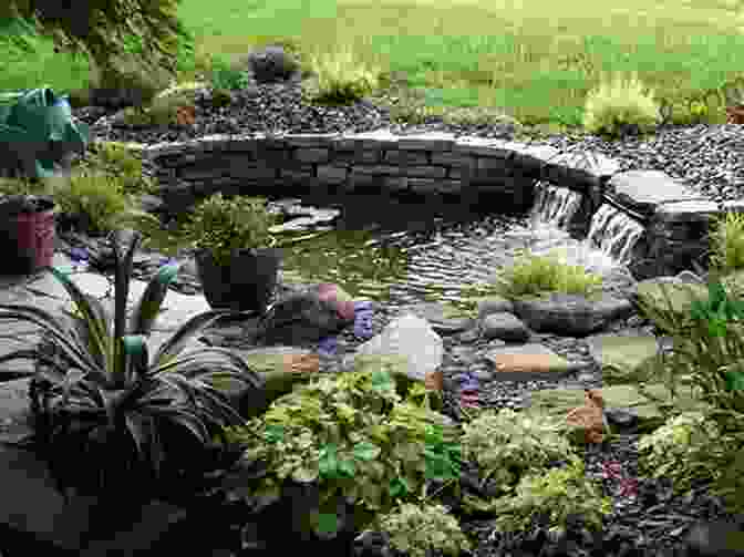A Small Rock Garden With A Variety Of Rocks, Plants, And A Small Pond. Ultimate Guide: Decks 5th Edition: 30 Projects To Plan Design And Build
