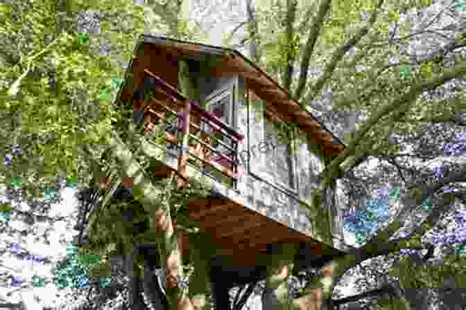 A Treehouse Perched High In The Branches Of A Tree. Ultimate Guide: Decks 5th Edition: 30 Projects To Plan Design And Build