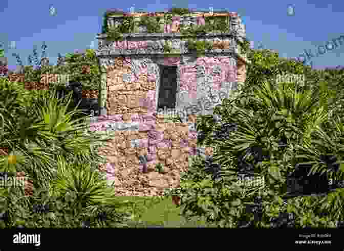 Darwin Lacroix Standing Amidst Crumbling Maya Ruins, Surrounded By Lush Vegetation Templar S Bank: An Archaeological Thriller (A Darwin Lacroix Adventure 3)