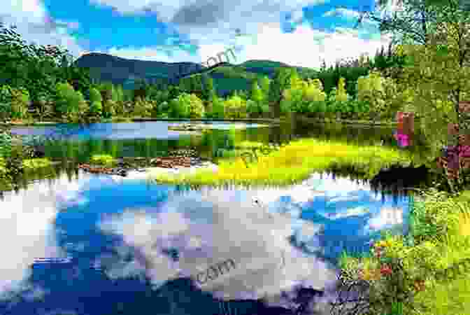 Sparkling Lake Surrounded By Lush Greenery, Reflecting The Serene Blue Sky. Cottage Country: A Haiku Collection
