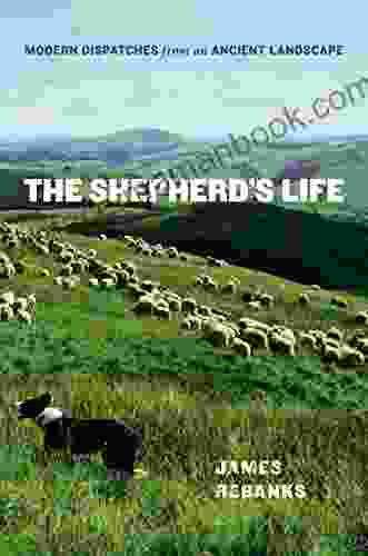 The Shepherd S Life: Modern Dispatches From An Ancient Landscape