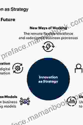 Business Models For Strategic Innovation: Cross Functional Perspectives (The Annals Of Business Research)